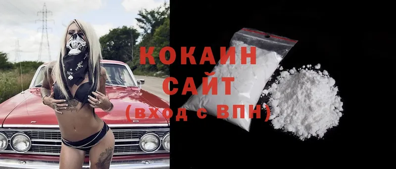 где можно купить   Кедровый  Cocaine Колумбийский 